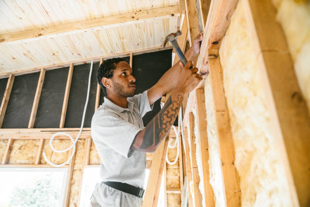 Insulation Replacement Services in Moulton, AL
